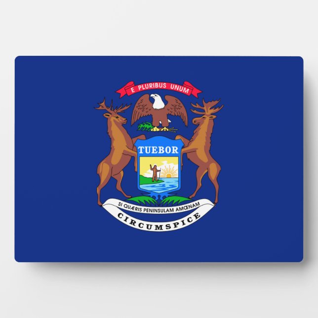 Michigan State Flag Design Plaque (Front)