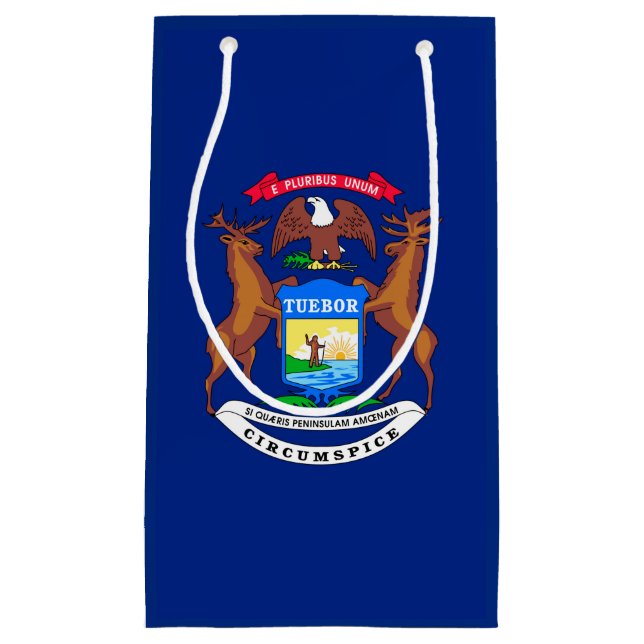 Michigan State Flag Design Small Gift Bag (Front)