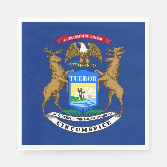 Michigan State Flag Napkin (Front)