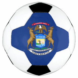 Michigan State Flag Soccer Ball