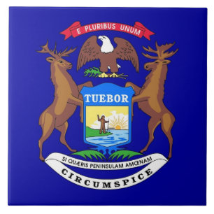 Michigan State Flag Tile