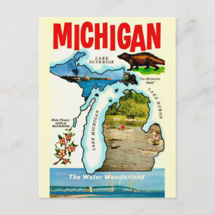 Michigan State Vintage Postcard