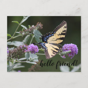 Michigan Swallowtail Butterfly Postcard