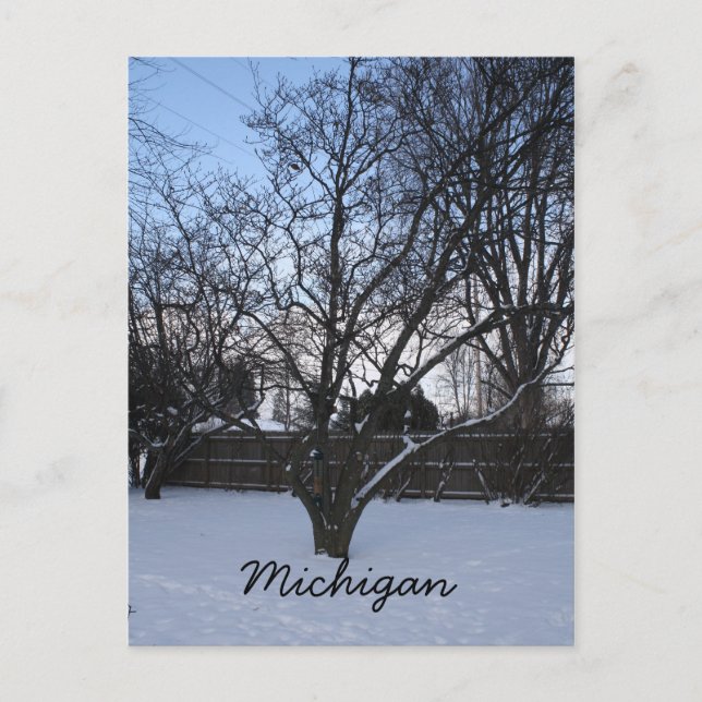 Michigan winter  post card (Front)