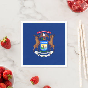 Michigander Flag, Flag of Michigan Napkin