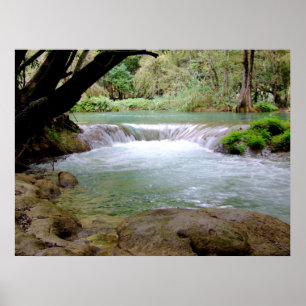 Micos park, Mexico Poster