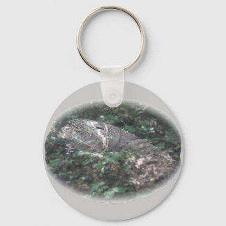 Micrathena Spider Orb Web Coordinating Items Key Ring