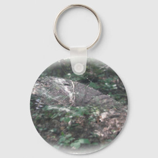 Micrathena Spider Orb Web Coordinating Items Key Ring