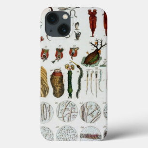 Micro organisms animales vintage biology chart tab iPhone 13 case