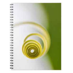 Micro photography of plant stem notebook