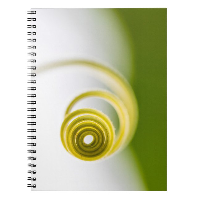 Micro photography of plant stem notebook (Front)