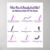 Microbiology Bench Olfactory Guide