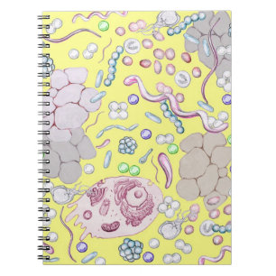 Microbiology In Yellow Notebook