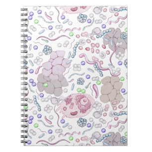 Microbiology Pattern Notebook