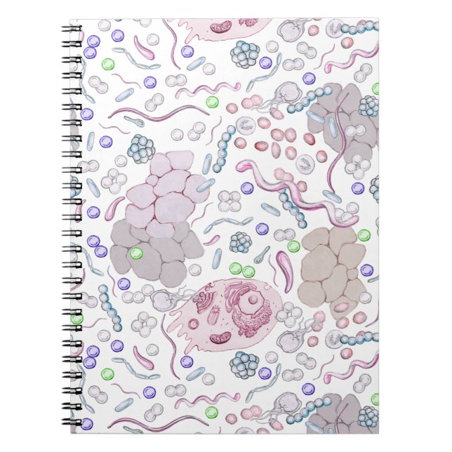 Microbiology Pattern Notebook (Front)