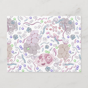 Microbiology Pattern Postcard