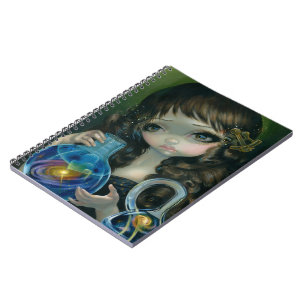 "Microcosm: Galaxy" Notebook