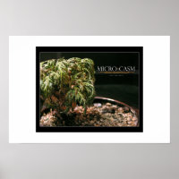 Microcosm