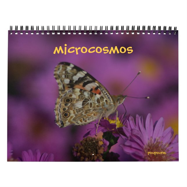 microcosmos calendar (Cover)