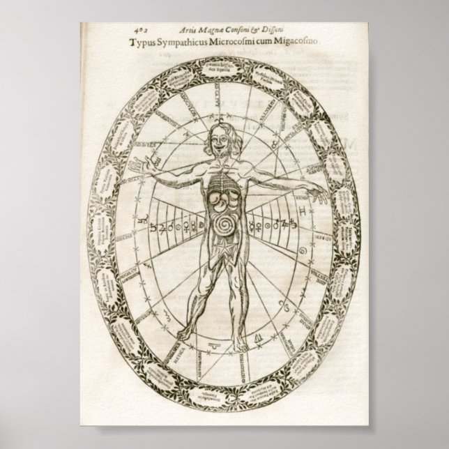 Microcosmos Illustration Poster (Front)