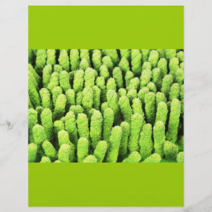 Microfibre cloth flyer