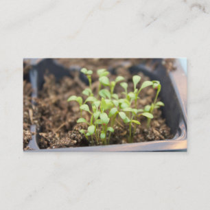 Microgreens Business Card
