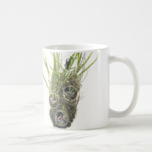 Microhabitat Mug