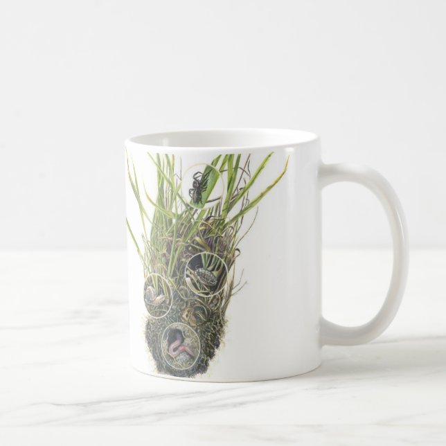 Microhabitat Mug (Right)