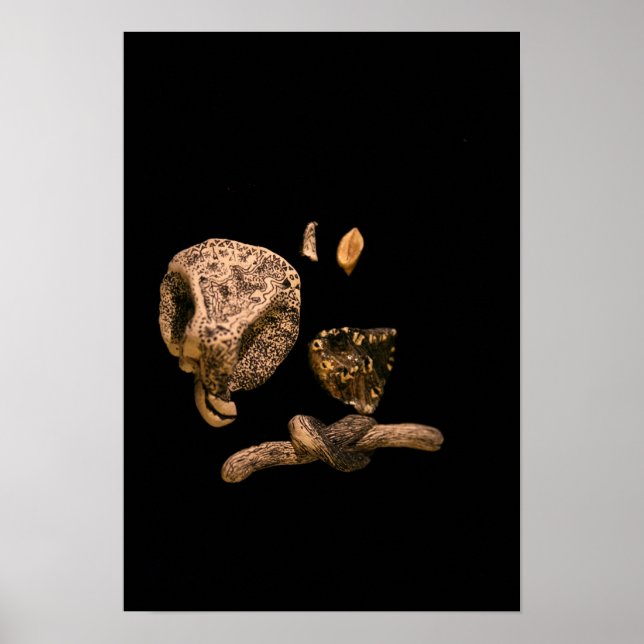 Micromanethiques Graphic Miniature Micro Sculpture Poster (Front)