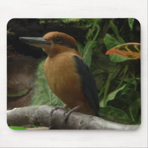 Micronesia Kingfisher Mouse Pad