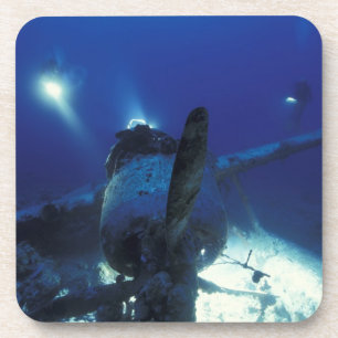 Micronesia, Palau, World Heritage Site. Divers Coaster
