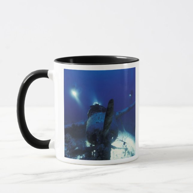 Micronesia, Palau, World Heritage Site. Divers Mug (Left)