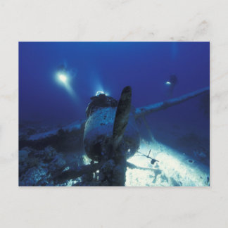 Micronesia, Palau, World Heritage Site. Divers Postcard