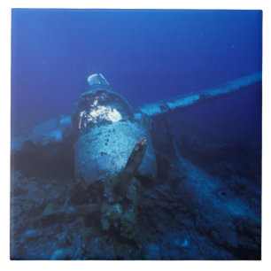 Micronesia, Palau, World Heritage Site. WWII Ceramic Tile