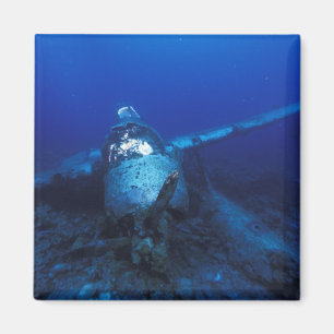 Micronesia, Palau, World Heritage Site. WWII Magnet