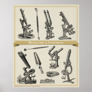 Microscopes & Instruments Poster