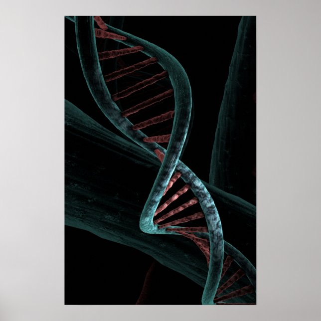 Microscopic Code of Life DNA Double Helix Poster (Front)
