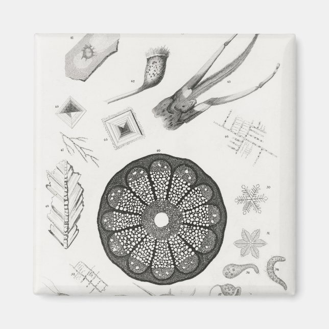 Microscopic Objects Magnet (Front)