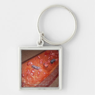 Microscopic rendering of a blood infection key ring
