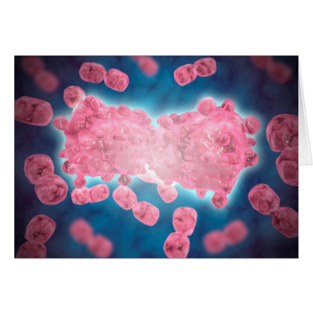 Microscopic View Of A Group Of Leukaemia Cell (Front Horizontal)