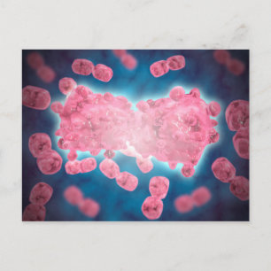 Microscopic View Of A Group Of Leukaemia Cell Postcard