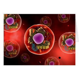 Microscopic View Of Animal Cell 2