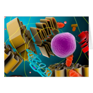 Microscopic View Of Animal Cell Nucleus