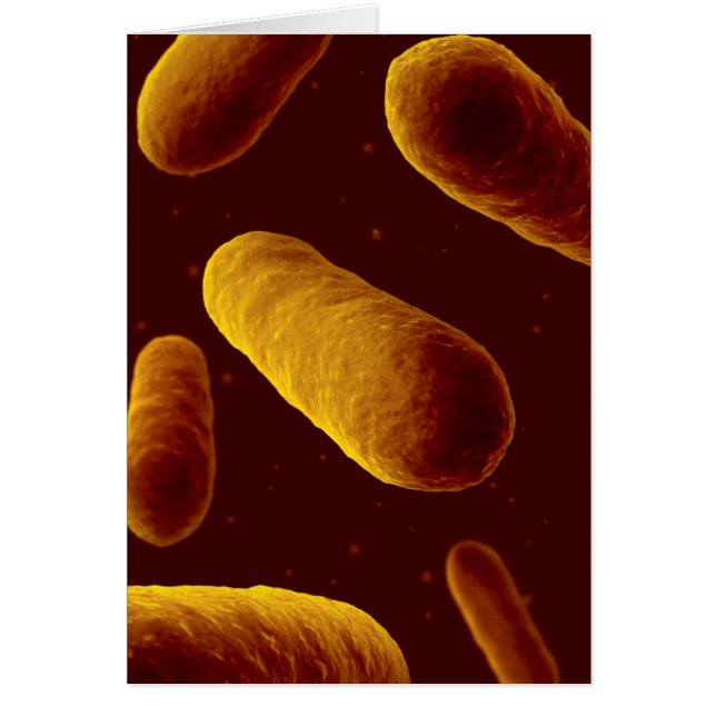 Microscopic View Of Bacteria 3 (Front)