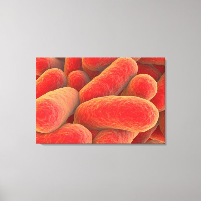Microscopic View Of Bacteria 4 Canvas Print (Front)