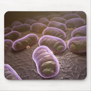 Microscopic view of bacteria mouse pad