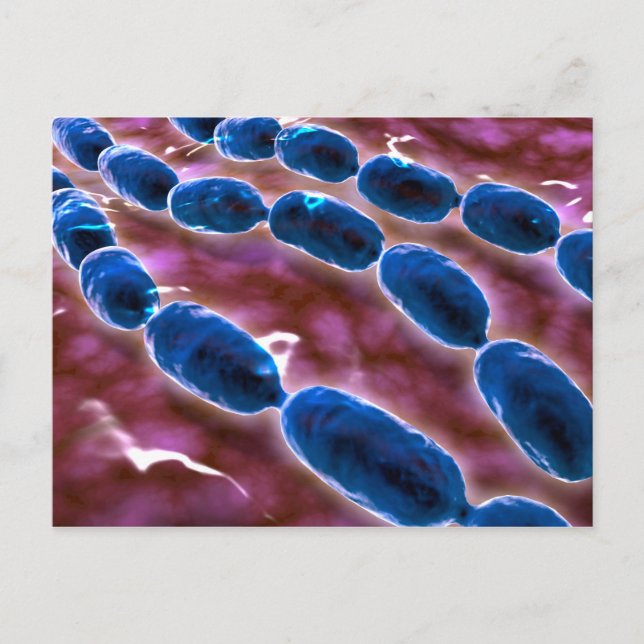Microscopic View Of Bacterial Pneumonia 1 Postcard (Front)