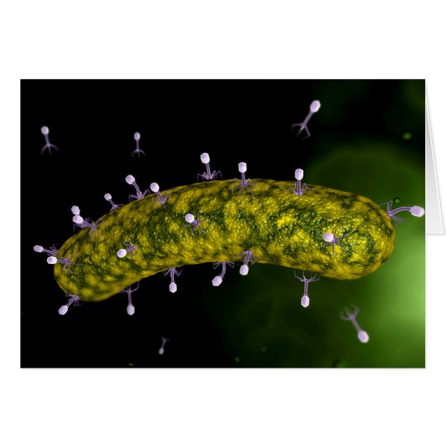 Microscopic View Of Bacteriophage Attacking (Front Horizontal)