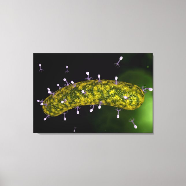 Microscopic View Of Bacteriophage Attacking Canvas Print (Front)