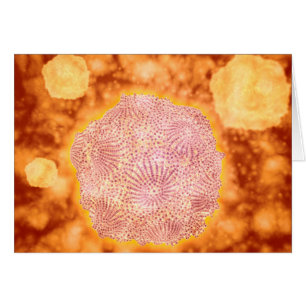 Microscopic View Of Canine Parvovirus 1